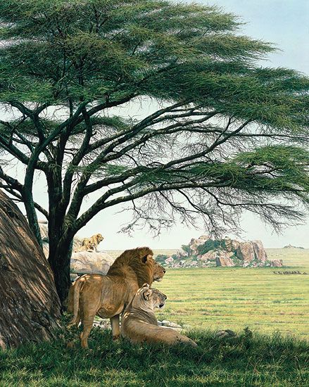 Simon Combes Masterwork Numbered Limited Edition Giclee on Canvas:"An African Experience"