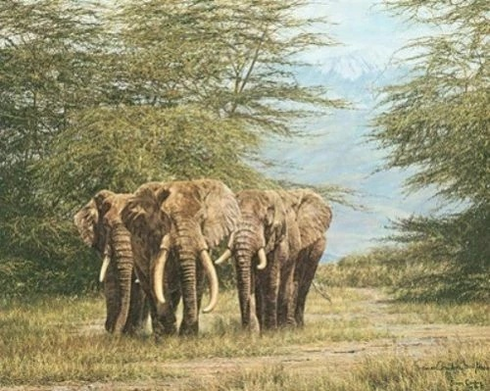 Simon Combes Signed and Numbered Limited Edition Lithograph: "Amboseli Ancients Elephants" Simon Combes Signed and Numbered Limited Edition Lithograph: "Amboseli Ancients Elephants"