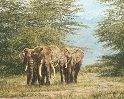 Simon Combes Signed and Numbered Limited Edition Lithograph: "Amboseli Ancients Elephants"