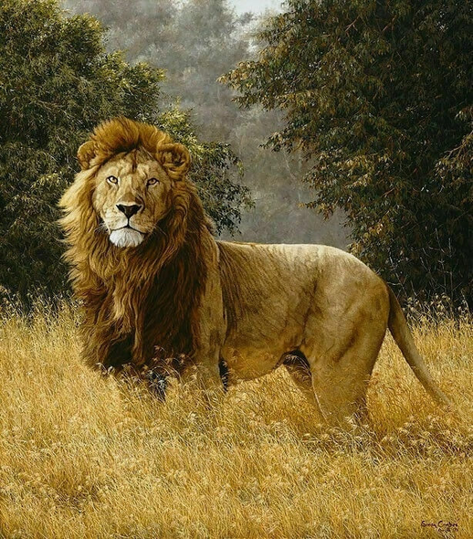 Simon Combes Signed and Numbered Limited Edition Lithograph: "Simba"