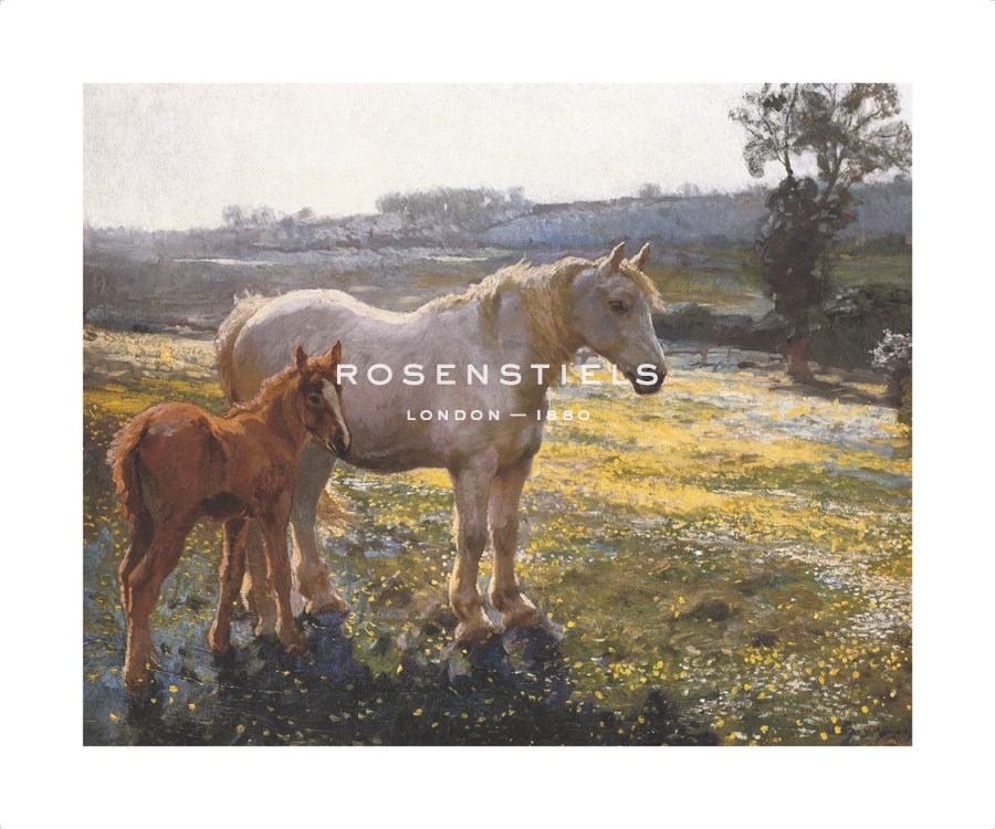 Sir Alfred Munnings Hand Numbered Limited Edition Print on Paper :"Mare and Foal in a Field of Buttercups"