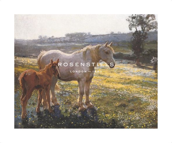 Sir Alfred Munnings Hand Numbered Limited Edition Print on Paper :"Mare and Foal in a Field of Buttercups"