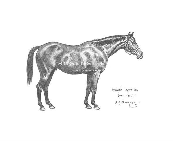 Sir Alfred Munnings Hand Numbered Limited Edition Print on Paper :"The First Study of Warrior"