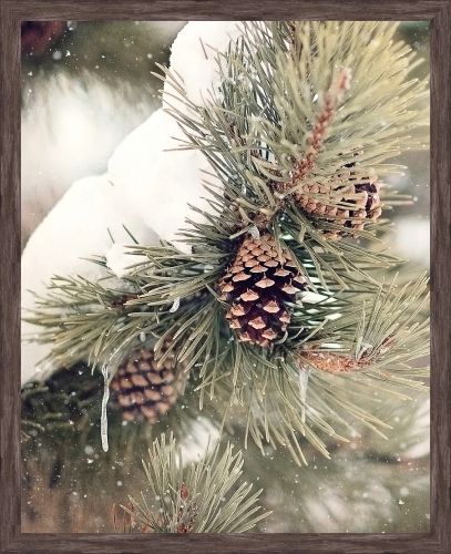 Somerset House 32X26 FRAMED 3 D CANVAS:"RUSTIC PINECONES I"