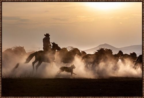 Somerset House 34.75X50.8 FLOAT FRAMED CANVAS:"NOBLE HORSES"