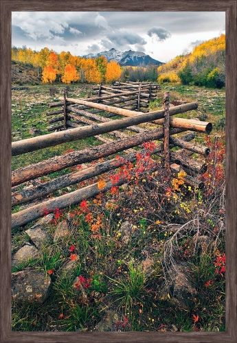 Somerset House 37X25 FRAMED CANVAS:"LOG FENCE"