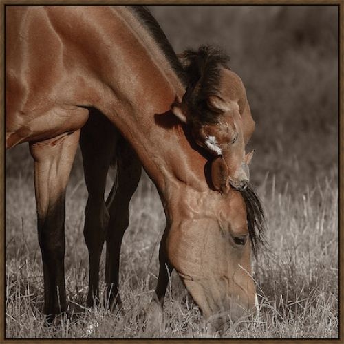 Somerset House 37X37 FLOAT FRAMED CANVAS:"UNBROKEN BOND"