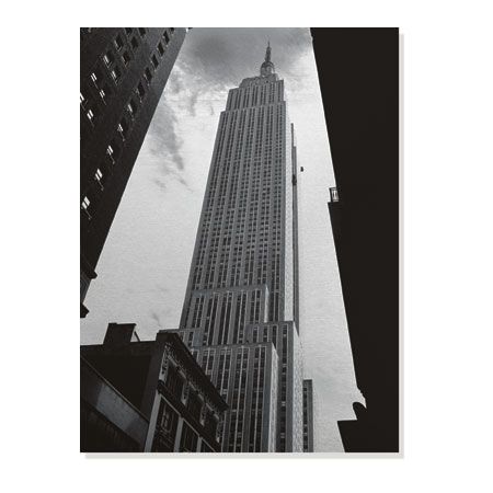 Sondra Wampler Limited Edition Ready to Hang Giclee on Brushed Aluminum: "Empire I"