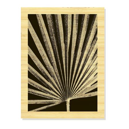 Sondra Wampler Limited Edition Ready to Hang Giclee on Sustainable Bamboo: "Fan Palm"