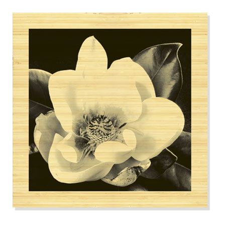 Sondra Wampler Limited Edition Ready to Hang Giclee on Sustainable Bamboo: "Magnolia No. 1"