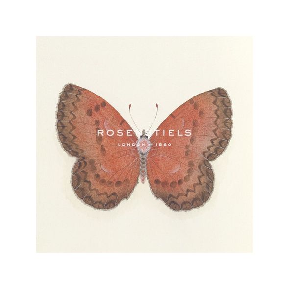 Sophie Golaz Hand Numbered Limited Edition Print on Paper :"Butterfly I"
