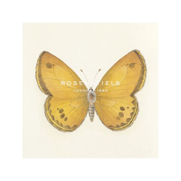 Sophie Golaz Hand Numbered Limited Edition Print on Paper :"Butterfly V"