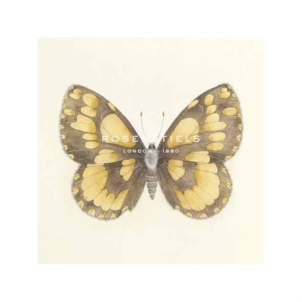 Sophie Golaz Hand Numbered Limited Edition Print on Paper :"Butterfly VI"