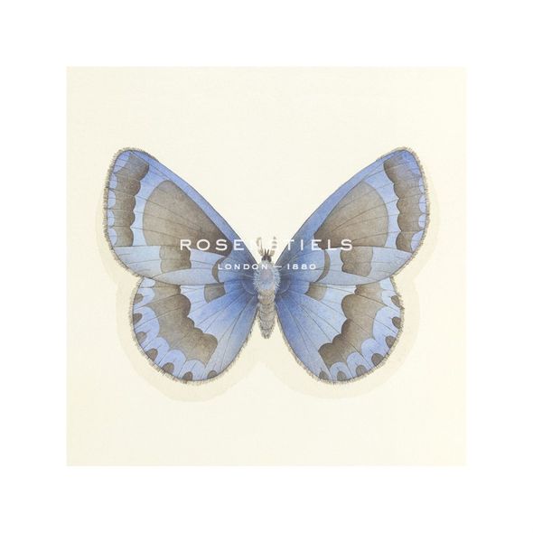 Sophie Golaz Hand Numbered Limited Edition Print on Paper :"Butterfly VII"