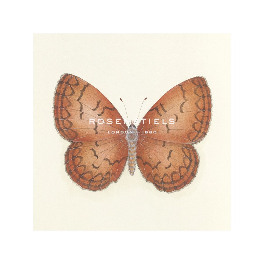 Sophie Golaz Hand Numbered Limited Edition Print on Paper :"Butterfly VIII"