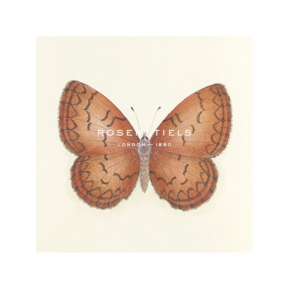 Sophie Golaz Hand Numbered Limited Edition Print on Paper :"Butterfly VIII"