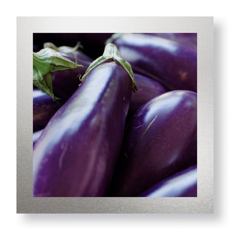 Stacy Bass Limited Edition Ready to Hang Giclee on Brushed Aluminum: ""