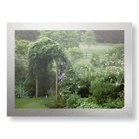 Stacy Bass Limited Edition Ready to Hang Giclee on Brushed Aluminum: "Arbor Mist"