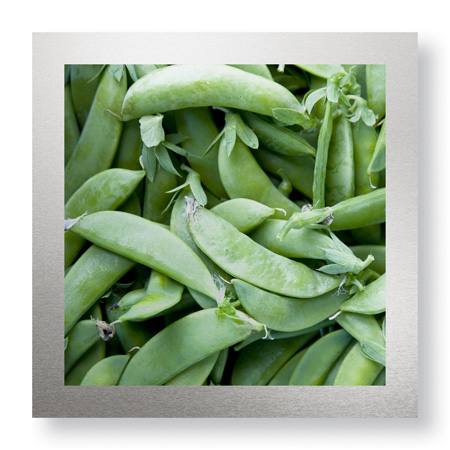Stacy Bass Limited Edition Ready to Hang Giclee on Brushed Aluminum: "Pea Pods"