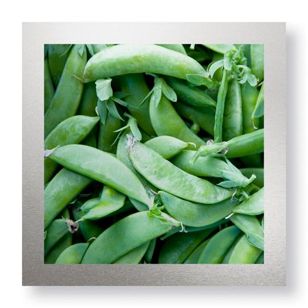 Stacy Bass Limited Edition Ready to Hang Giclee on Brushed Aluminum: "Pea Pods"