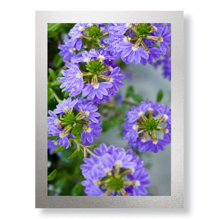 Stacy Bass Limited Edition Ready to Hang Giclee on Brushed Aluminum: "Pool Detail"