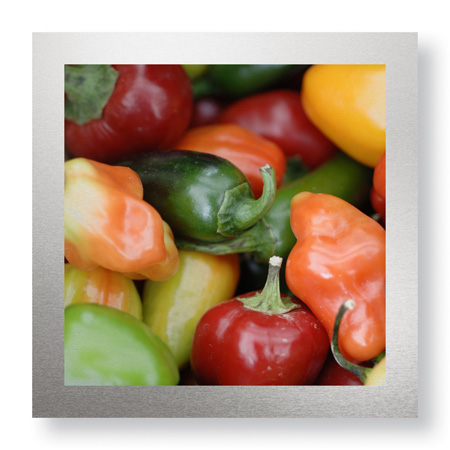 Stacy Bass Limited Edition Ready to Hang Giclee on Brushed Aluminum: "Rainbow Peppers"