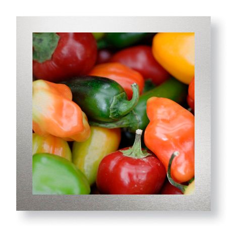 Stacy Bass Limited Edition Ready to Hang Giclee on Brushed Aluminum: "Rainbow Peppers"