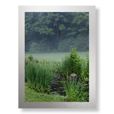 Stacy Bass Limited Edition Ready to Hang Giclee on Brushed Aluminum: "Stream and Mist"