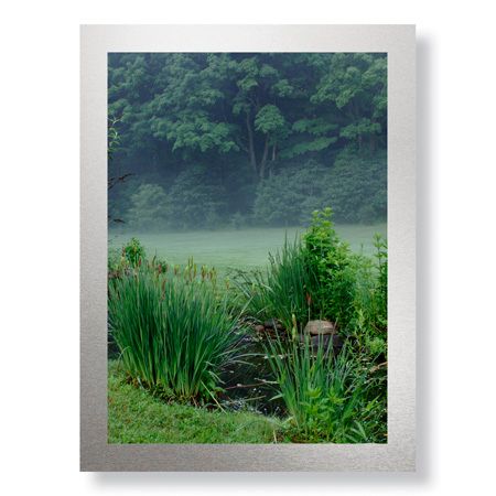 Stacy Bass Limited Edition Ready to Hang Giclee on Brushed Aluminum: "Stream and Mist"