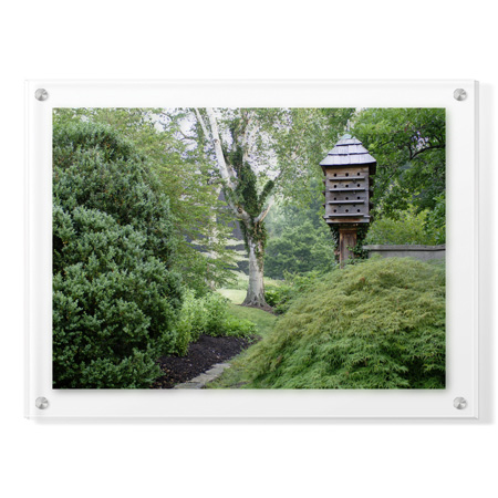 Stacy Bass Limited Edition Ready to Hang Giclee on Clear Acrylic: "Birds and Path"