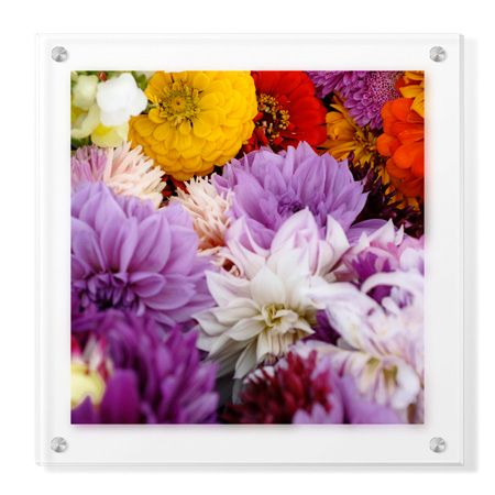 Stacy Bass Limited Edition Ready to Hang Giclee on Clear Acrylic: "Flowers"