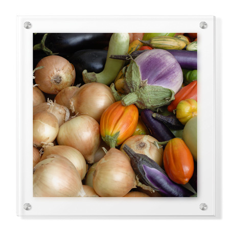 Stacy Bass Limited Edition Ready to Hang Giclee on Clear Acrylic: "Garlic"