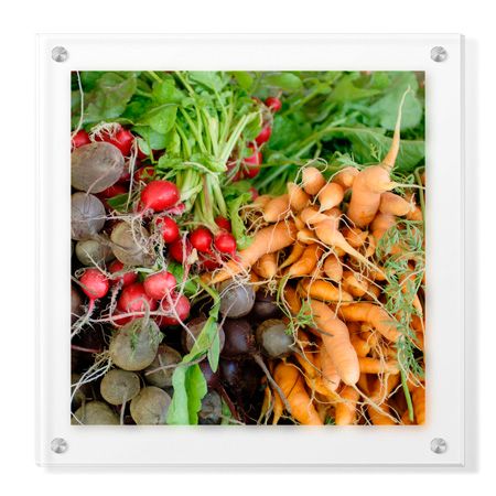 Stacy Bass Limited Edition Ready to Hang Giclee on Clear Acrylic: "Organics"