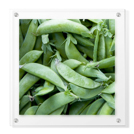 Stacy Bass Limited Edition Ready to Hang Giclee on Clear Acrylic: "Pea Pods"