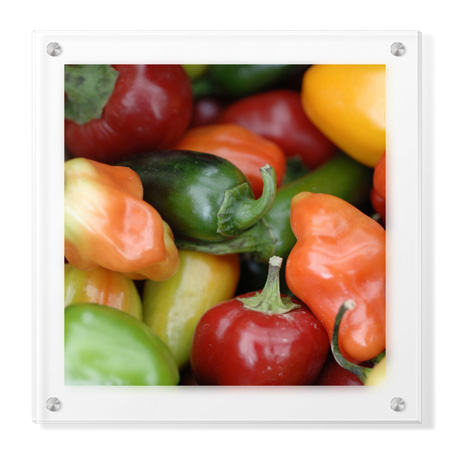 Stacy Bass Limited Edition Ready to Hang Giclee on Clear Acrylic: "Rainbow Peppers"