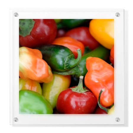 Stacy Bass Limited Edition Ready to Hang Giclee on Clear Acrylic: "Rainbow Peppers"