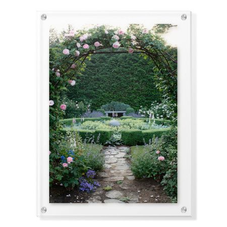 Stacy Bass Limited Edition Ready to Hang Giclee on Clear Acrylic: "Rose Entry"