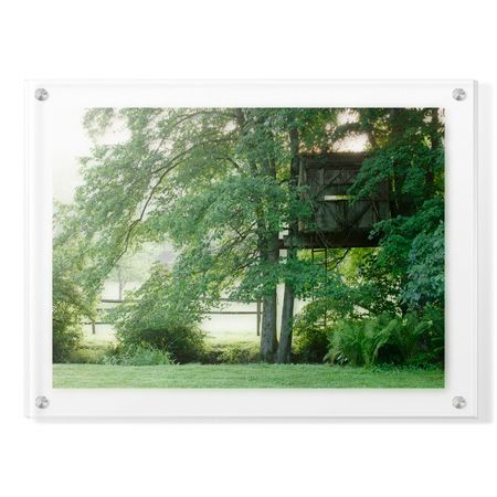 Stacy Bass Limited Edition Ready to Hang Giclee on Clear Acrylic: "Tree House"