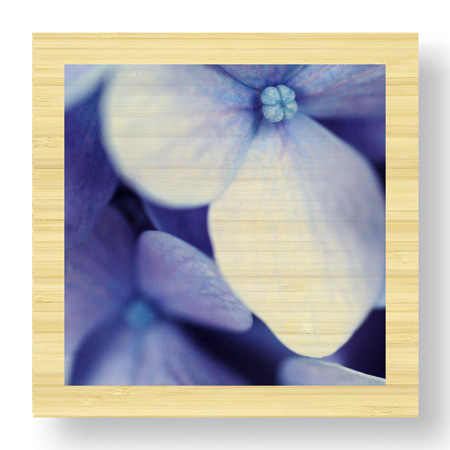 Stacy Bass Limited Edition Ready to Hang Giclee on Sustainable Bamboo: "Blue Hydrangea 1"