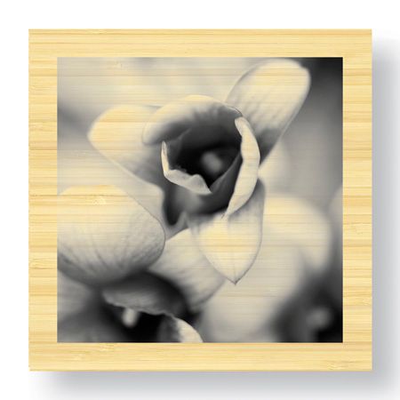 Stacy Bass Limited Edition Ready to Hang Giclee on Sustainable Bamboo: "Botanical Study 14"