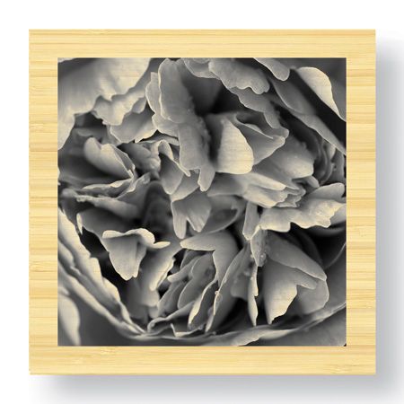 Stacy Bass Limited Edition Ready to Hang Giclee on Sustainable Bamboo: "Botanical Study 15"