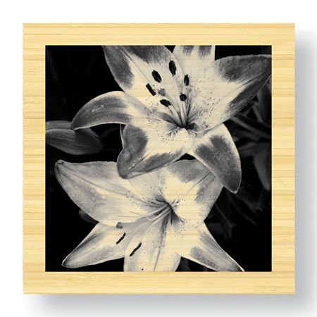 Stacy Bass Limited Edition Ready to Hang Giclee on Sustainable Bamboo: "Botanical Study 5"