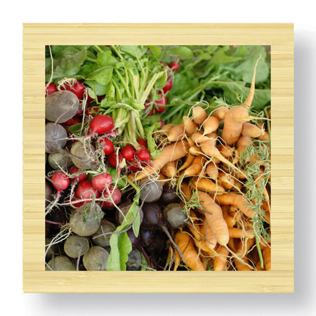 Stacy Bass Limited Edition Ready to Hang Giclee on Sustainable Bamboo: "Organics"