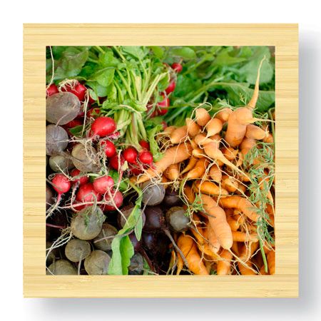 Stacy Bass Limited Edition Ready to Hang Giclee on Sustainable Bamboo: "Organics"