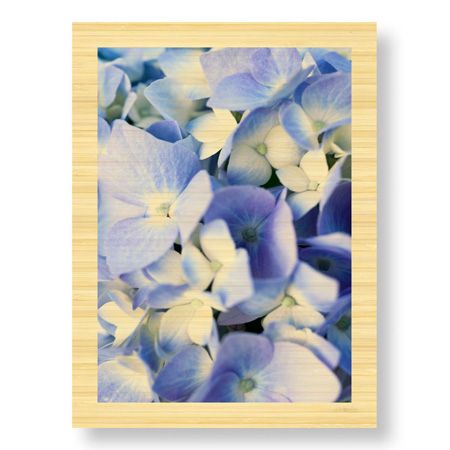 Stacy Bass Limited Edition Ready to Hang Giclee on Sustainable Bamboo: "Pale Blue Hydrangea"