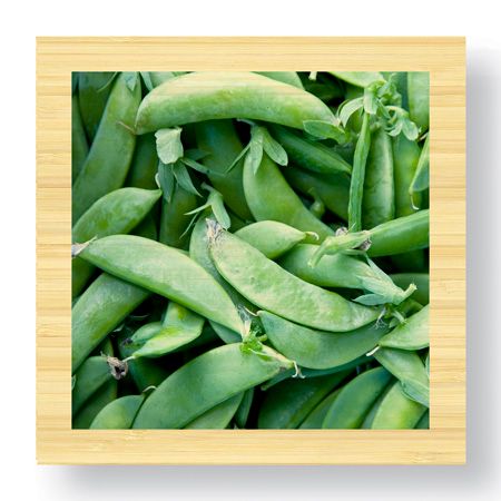 Stacy Bass Limited Edition Ready to Hang Giclee on Sustainable Bamboo: "Pea Pods"