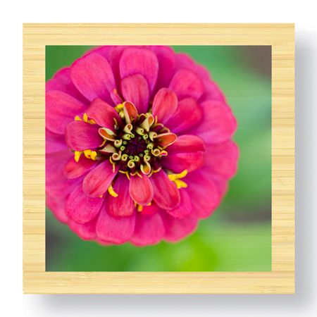 Stacy Bass Limited Edition Ready to Hang Giclee on Sustainable Bamboo: "Pink Flower Suprise"