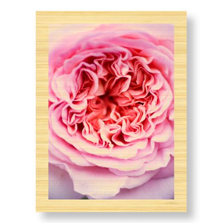 Stacy Bass Limited Edition Ready to Hang Giclee on Sustainable Bamboo: "Pink Rose 2"