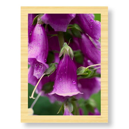 Stacy Bass Limited Edition Ready to Hang Giclee on Sustainable Bamboo: "Purple Detail 2"