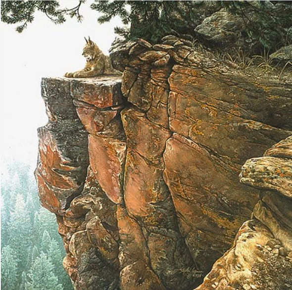 Stephan Lyman Limited Edition Artist Proof Canvas:"Above the Forest"